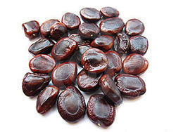 Tamarind Seeds