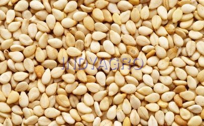 Sesame Seed