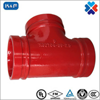 Ductile Iron Grooved Grooved Reducing Tee