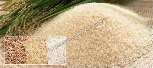 Swarna Non basmati Rice