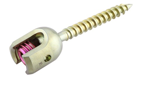 Mono Axial Screw
