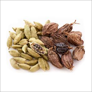 Cardamom