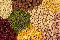 Organic Pulses