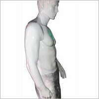 Men White Glossy Display Dummy Age Group: Adults