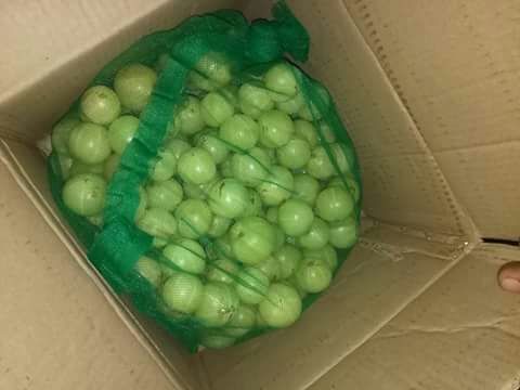 Gooseberries - Green Color, Varied Size, Net Packaging | Fresh, Juicy, Tangy, Nutritious, Versatile, Delicious