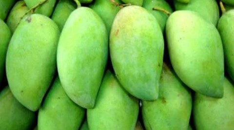 Mango