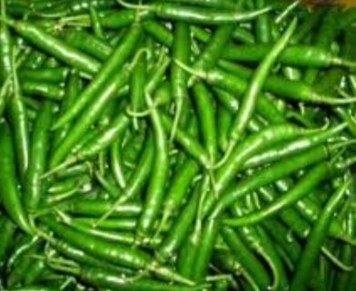 Green Chillies - 5-10 cm, Green, Elongated | Fresh, Spicy, Culinary, Versatile, Bulk Packaging