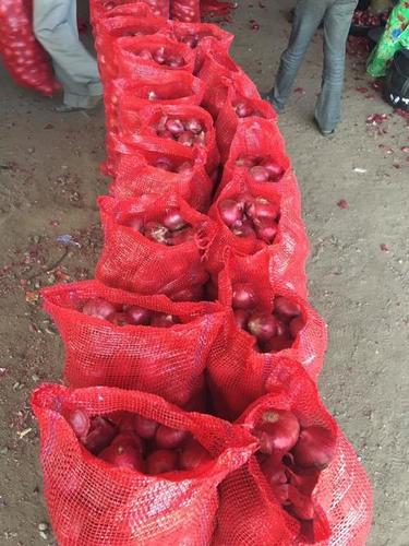Fresh Red Onion - Red, Juicy, Crisp | Flavorful, Versatile, Mesh Bag Packaging