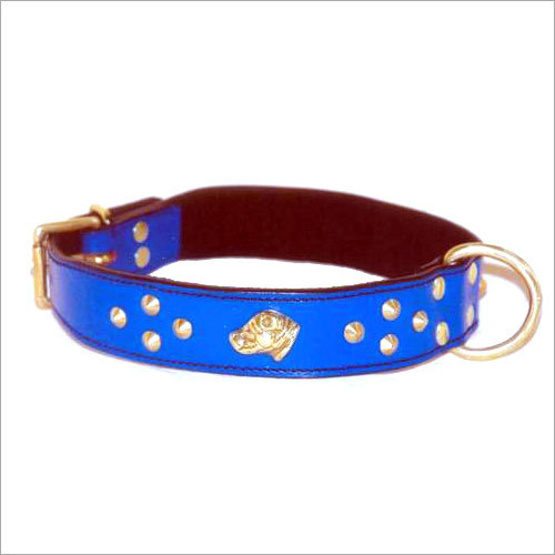 चमड़े के कुत्ते के कॉलर