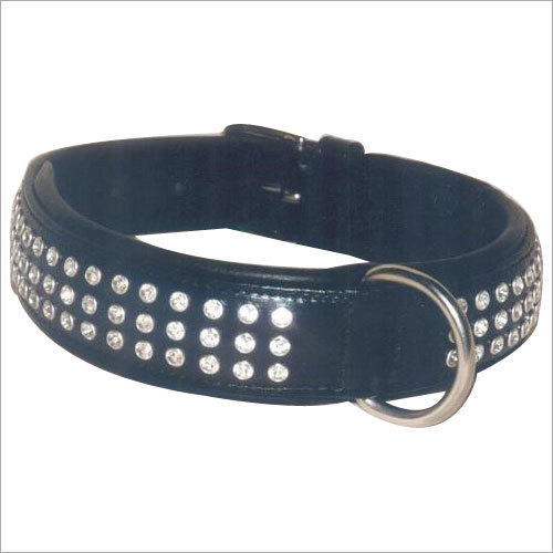 Blue Pp Pet Collar