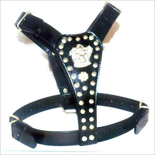 Fashionable Leather Dog Harnesses