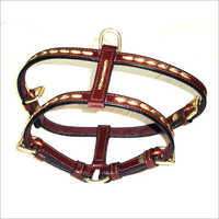 Dog Padded Harness