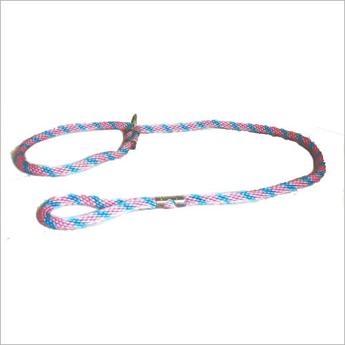 Braided Leather Dog Leashes