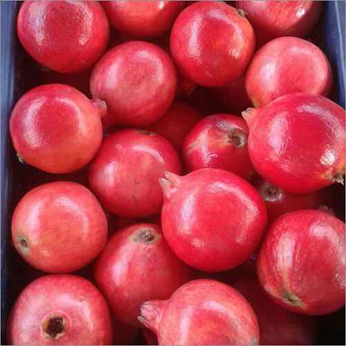 Pomegranate