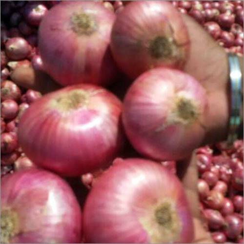 Onion