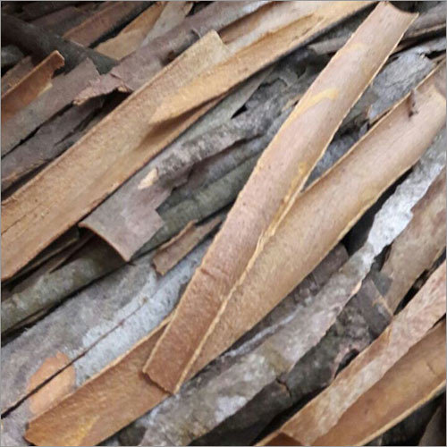 Cinnamon