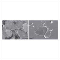Exfoliated Graphite Nano Platelets