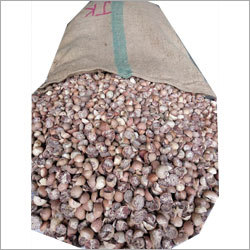 Betel Nut