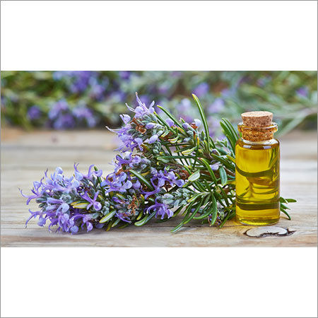 Rosemary Oil