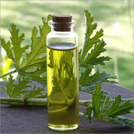 Geranium Oil