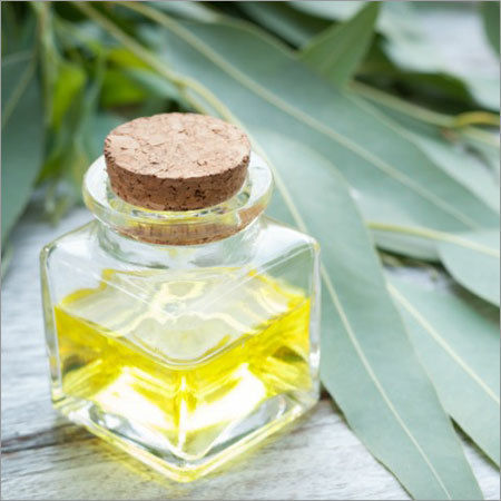 Eucalyptus Oil