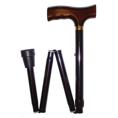 Walking Stick