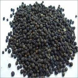 Black Pepper Seeds