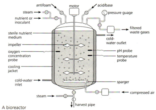 Fermenter