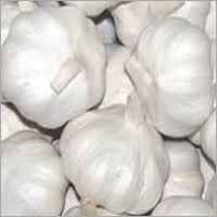 White Garlic