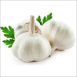 Fresh Garlic