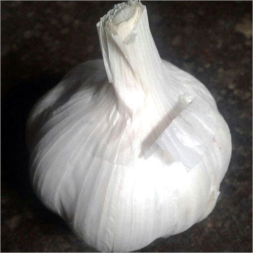 Ooty Garlic
