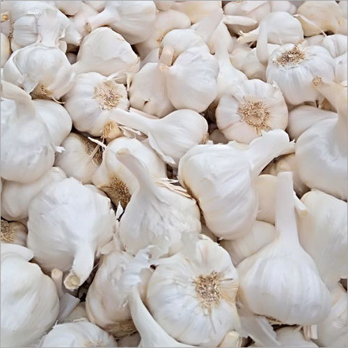 Rajasthani Garlic