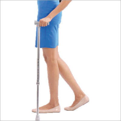 Walking Stick