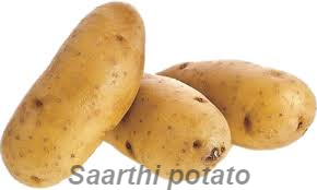 Chipsona Potatoes