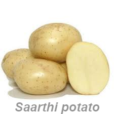 Pukhraj Potato