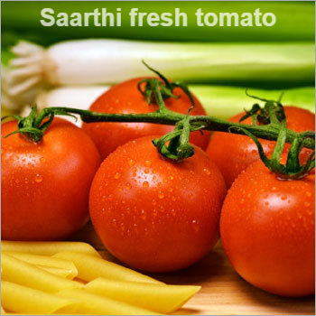 Fresh Tomato