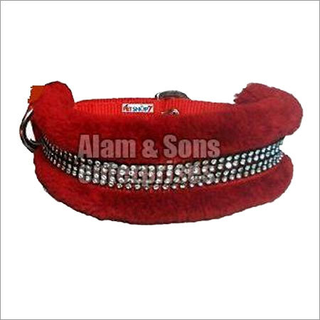 Fancy Dog Collars