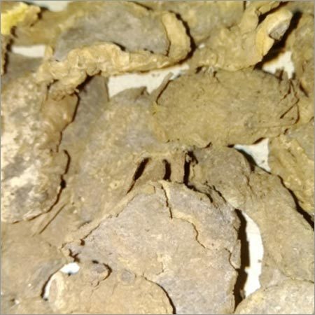 Kapoor Kachri Dried Roots