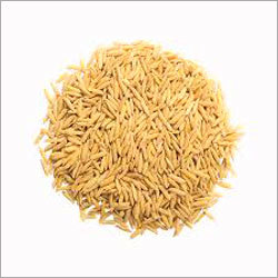 Organic Ranbir Paddy