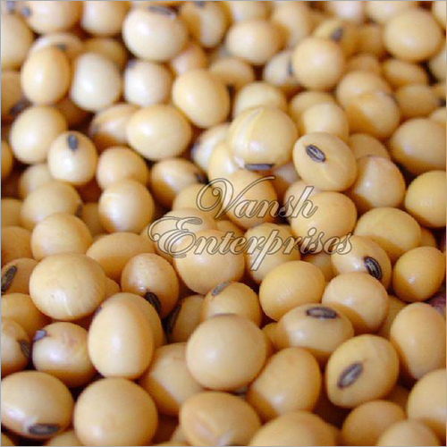 Soybean Seeds