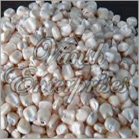 White Corn Seeds