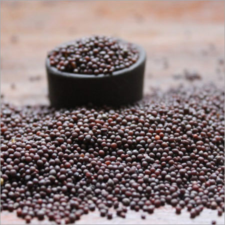 Mustard Seeds