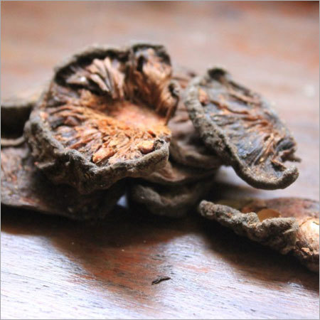 Kokum