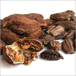 Black Cardamom Black Cardamom
