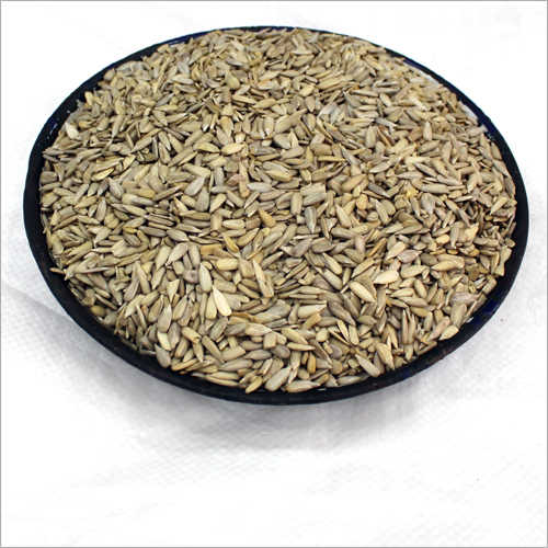 Sunflower Seed