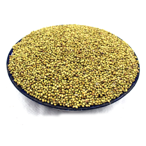 Coriander Seeds