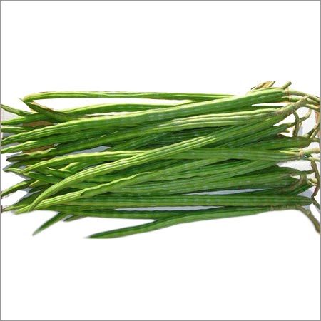 Green Drumstick Vegetable