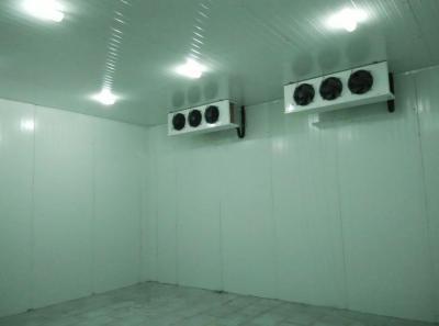 Banana Ripening Chambers 15 x10 x 10