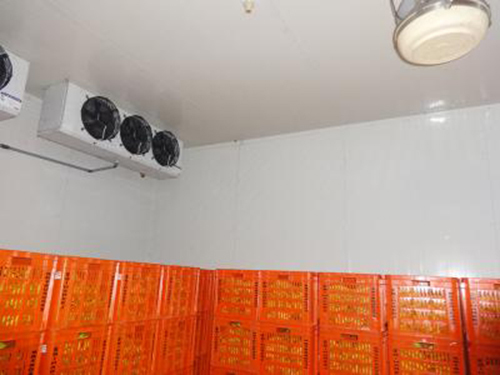 Cold Storage