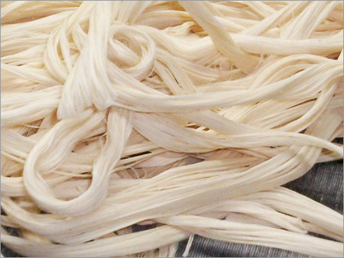 Cotton Sizing Yarn Waste